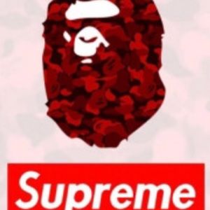 Meet your Posher, Neill